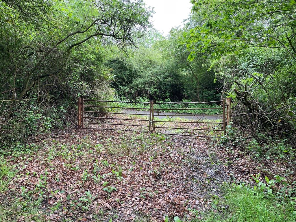 Lot: 71 - FREEHOLD PARCEL OF LAND - View of the gate access from the land looking back to the road